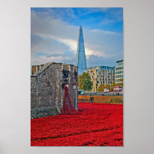Torn i London Red Poppies England UK Poster