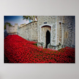 Torn i London Red Poppies England UK Poster