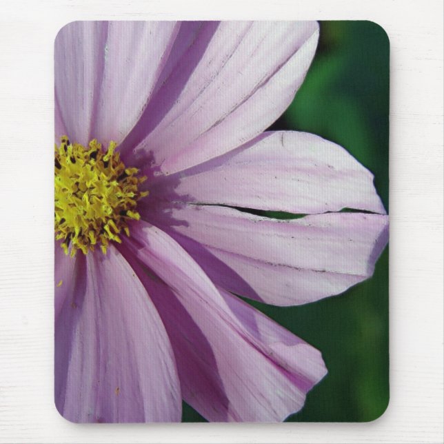 Torn Musmatta (Framsidan)