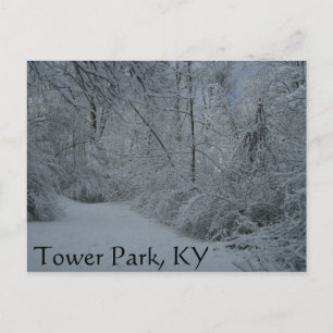 Torn Park, KY Vykort