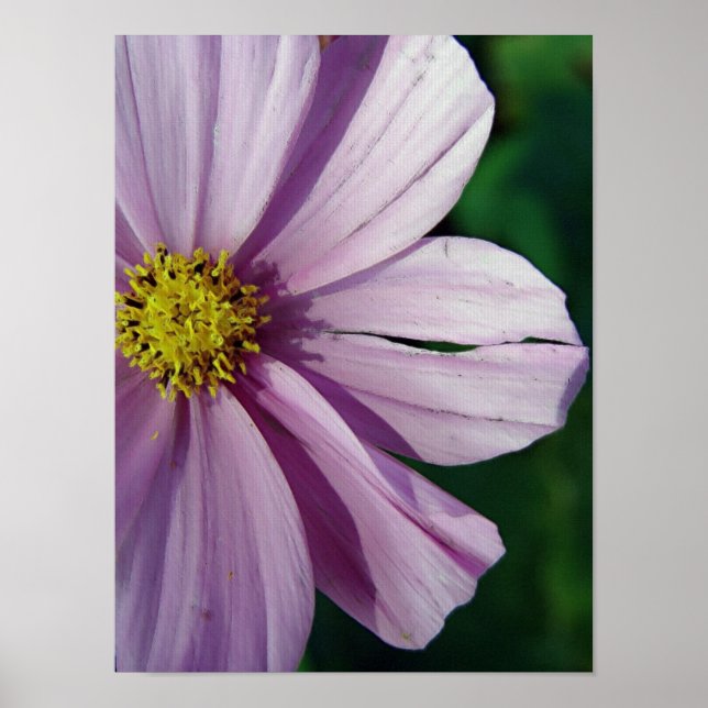 Torn Poster (Framsidan)