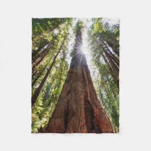 Tornande Redwoods Fleecefilt