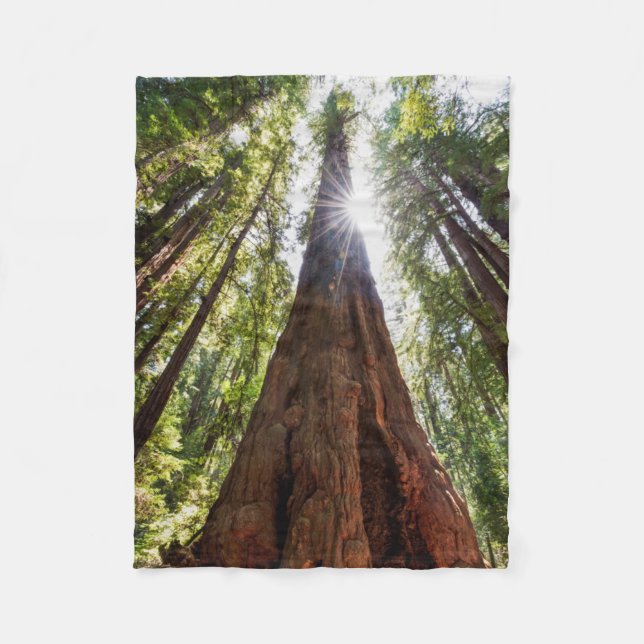 Tornande Redwoods Fleecefilt (Framsidan)