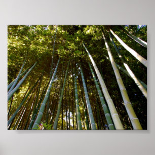 Tornbambu Poster