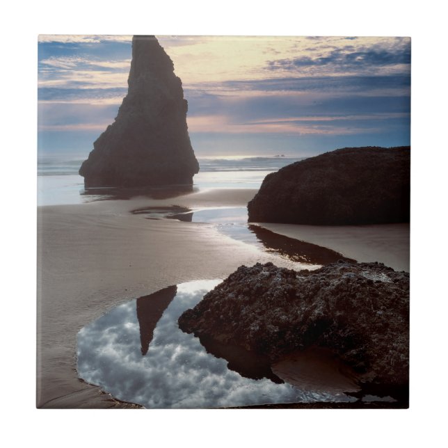 Törnformad havsstack | Face Rock Wayside, OR Kakelplatta (Framsidan)
