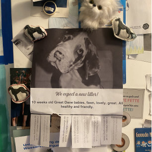 Törning av flygbladsdockor som säljer röd grönt reklamblad