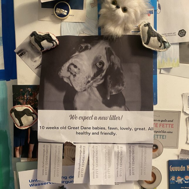 Törning av flygbladsdockor som säljer röd grönt reklamblad (Skapare uppladdad)