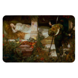 Tornrosa (förtrollad sagoscen) magnet