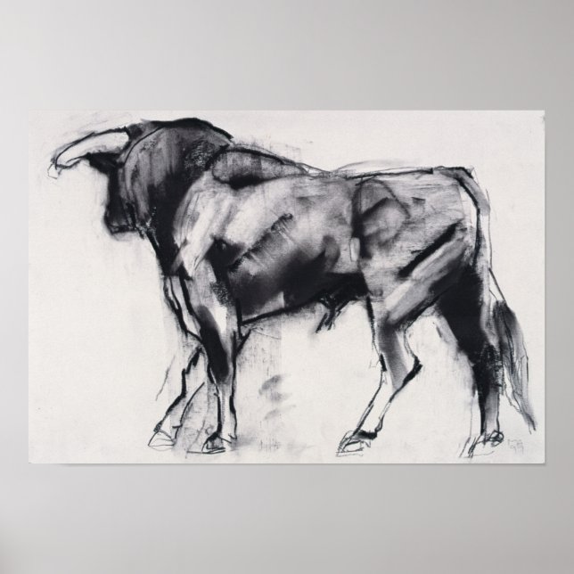 Toro Azul-studien Poster (Framsidan)