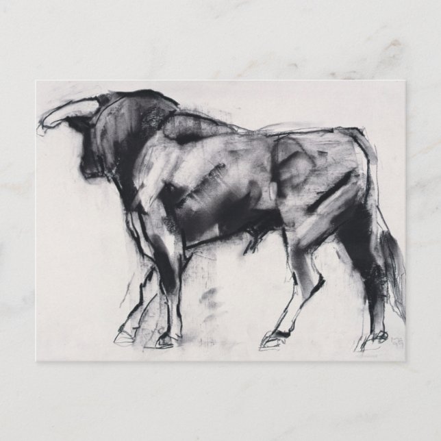 Toro Azul-studien Vykort (Framsida)