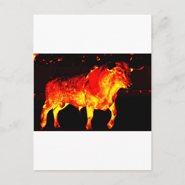 TORO BRAVO VYKORT (Framsida)