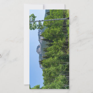 Torodin-toppmöte ovanför skogsmark vid golden grin