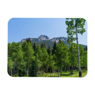 Torodin-toppmöte ovanför skogsmark vid golden grin magnet