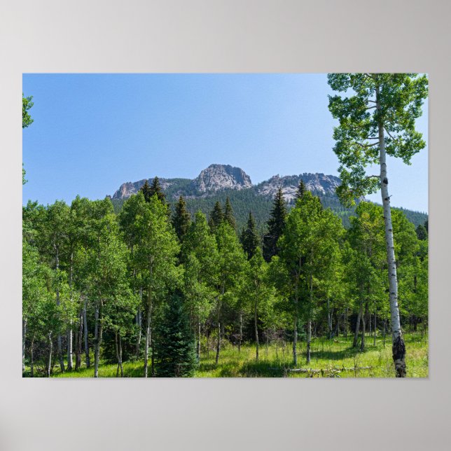 Torodin-toppmöte ovanför skogsmark vid golden grin poster (Framsidan)