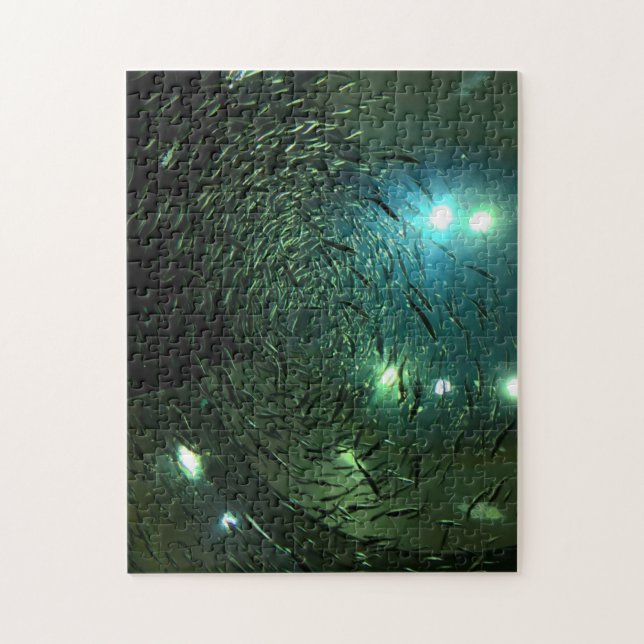 Toronto Aquarium Canada Pussel (Vertikal)