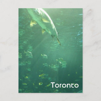 Toronto Aquarium vycard Vykort