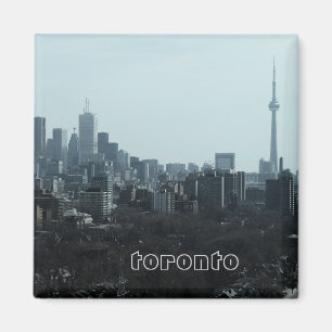 Toronto horisontmagnet magnet