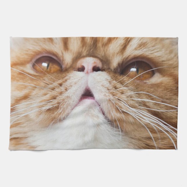 Torr DA-disk! Kökshandduk (Horisontell)