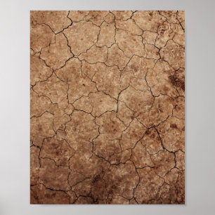 Torr jord poster