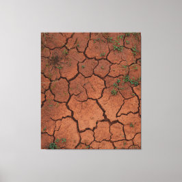 torr, krackad mark canvastryck