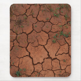 torr, krackad mark musmatta