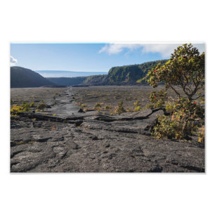 Torr ladugård av kilauea iki-krater fototryck