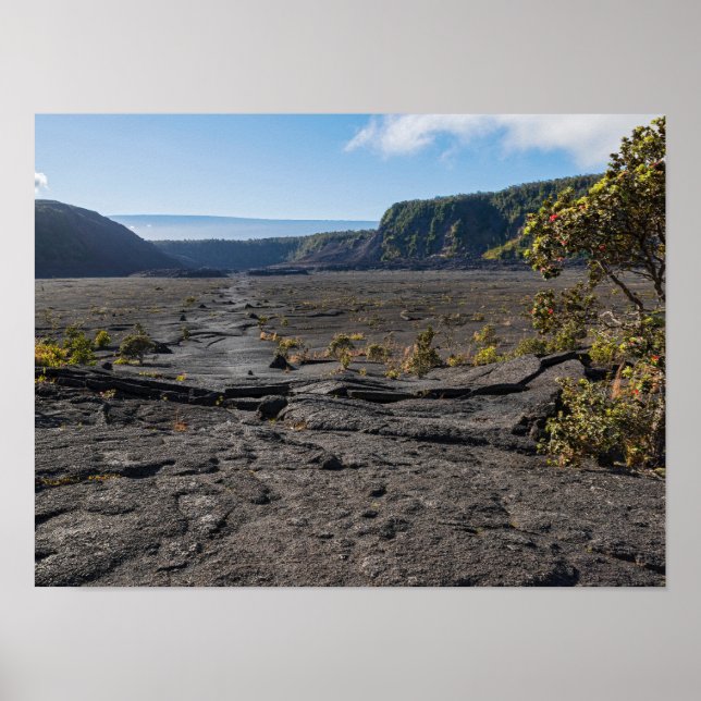 Torr ladugård av kilauea iki-krater poster (Framsidan)
