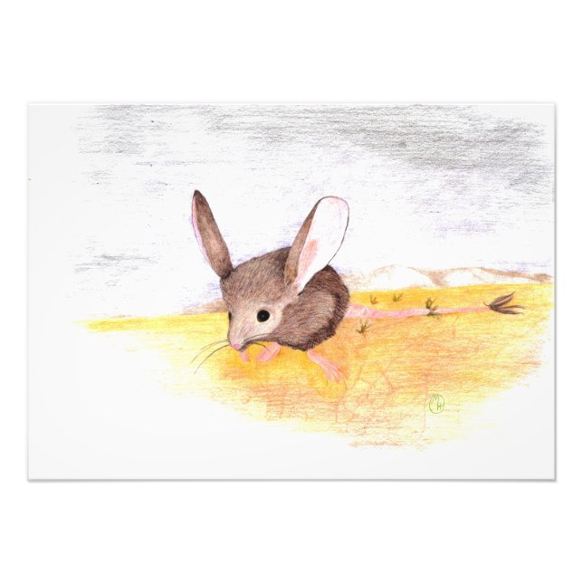 Torr mus fototryck (Framsidan)