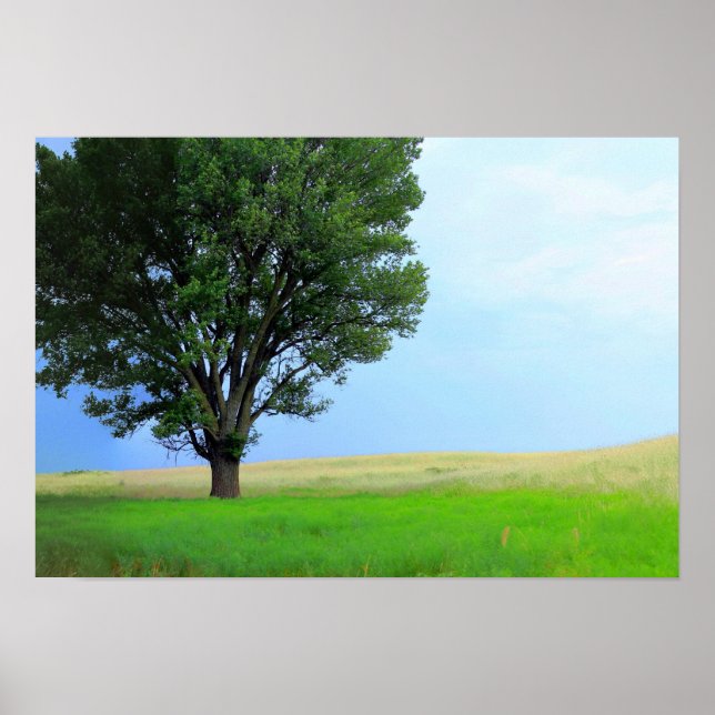 Torr storm över Oklahoma Grasslands III (Kol Sat) Poster (Framsidan)