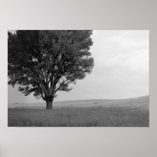 Torr storm över Oklahoma Grasslands III (koldepån) Poster