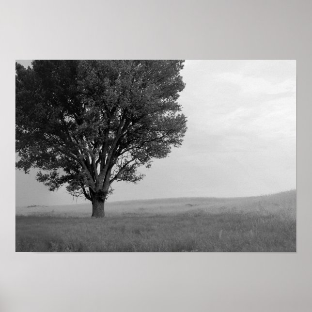 Torr storm över Oklahoma Grasslands III (koldepån) Poster (Framsidan)