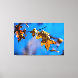 Torreken löv - Vår ligger inte långt från Canvastryck