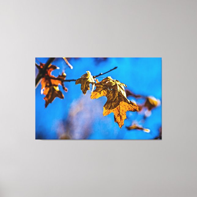 Torreken löv - Vår ligger inte långt från Canvastryck (Framsida)