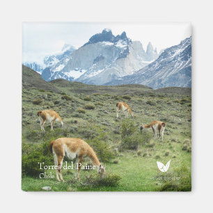Torres del Paine - kylmagnet av Velvet Escape Magnet
