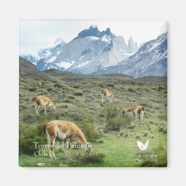Torres del Paine - kylmagnet av Velvet Escape Magnet (Framsidan)