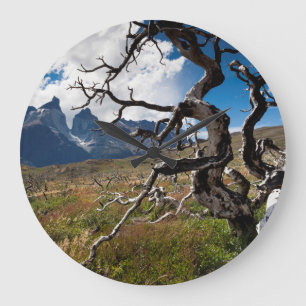 Torres del Paine nationalpark, brandskadad träd Stor Klocka