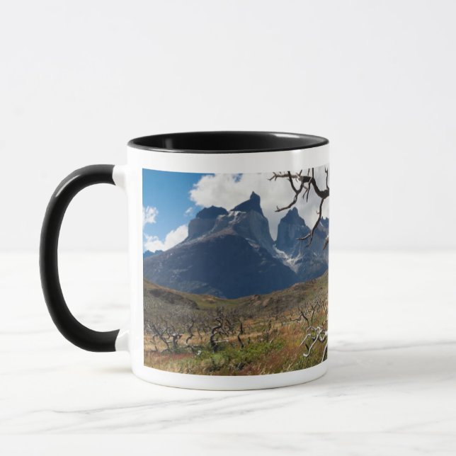 Torres del Paine nationalpark, brandskadade träd Mugg (Vänster)