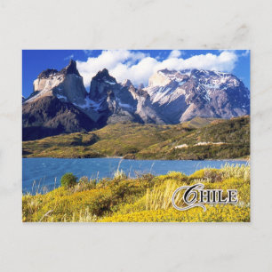 Torres del Paine nationalpark, Chile Vykort
