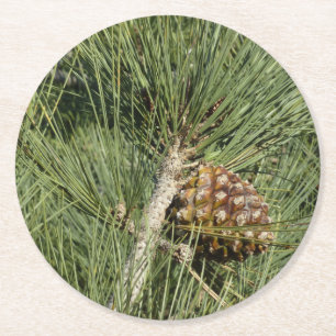 Torrey Gräs Closeup California Botanical Underlägg Papper Rund