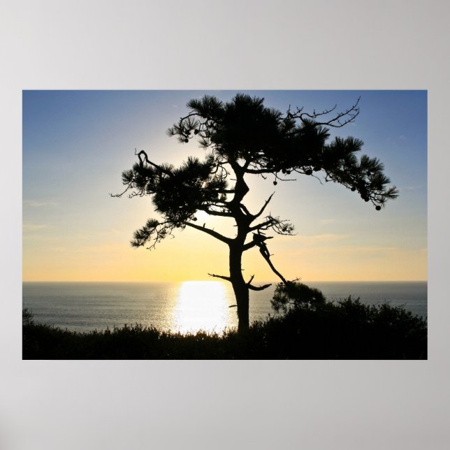 Torrey Gräs Silhouette Matte Canvas Poster (Framsidan)