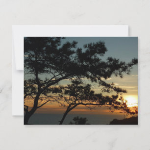 Torrey Gräs Sunset I California Ligcape