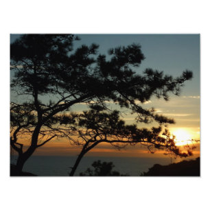 Torrey Gräs Sunset I California Ligcape Fototryck