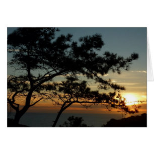 Torrey Gräs Sunset I California Ligcape Hälsningskort