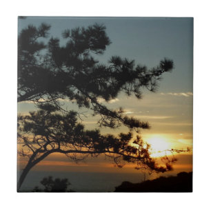 Torrey Gräs Sunset I California Ligcape Kakelplatta
