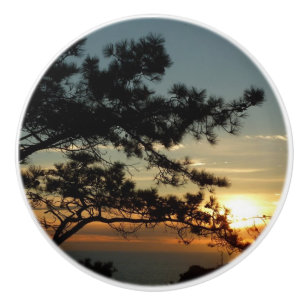 Torrey Gräs Sunset I California Ligcape Knopp