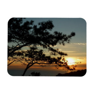 Torrey Gräs Sunset I California Ligcape Magnet
