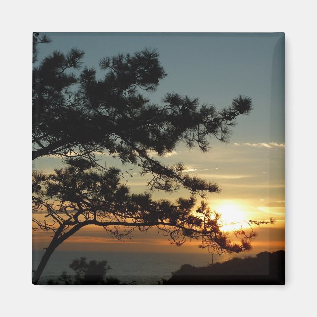Torrey Gräs Sunset I California Ligcape Magnet (Framsidan)