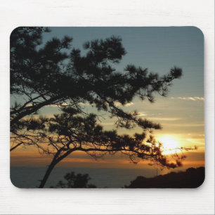 Torrey Gräs Sunset I California Ligcape Musmatta