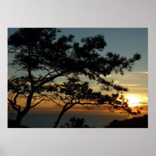 Torrey Gräs Sunset I California Ligcape Poster