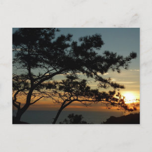 Torrey Gräs Sunset I California Ligcape Vykort